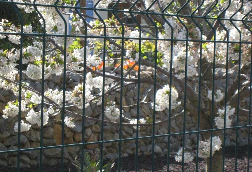 ベッドアンドブレックファースト Les S Sens Du Sud