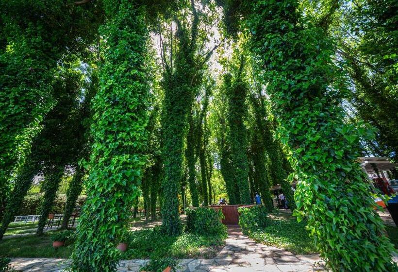 فندق Sebastiano Resort