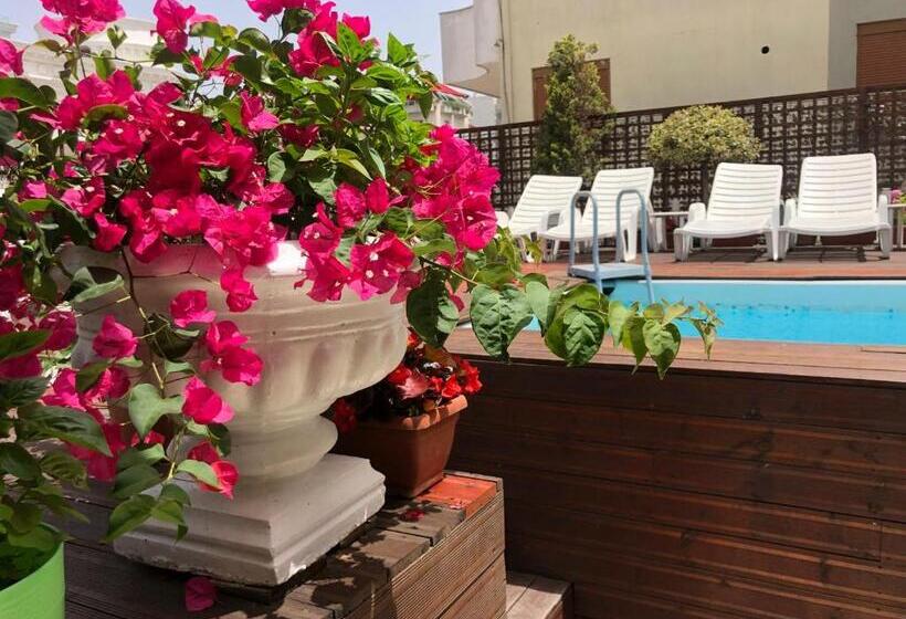 Sunrise Hotel Cameria