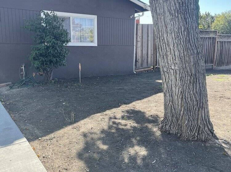 تختخواب و صبحانه Milpitas Homestay Room