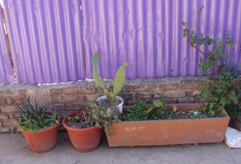 هاستل Intiaconcagua Habitaciones Familiares