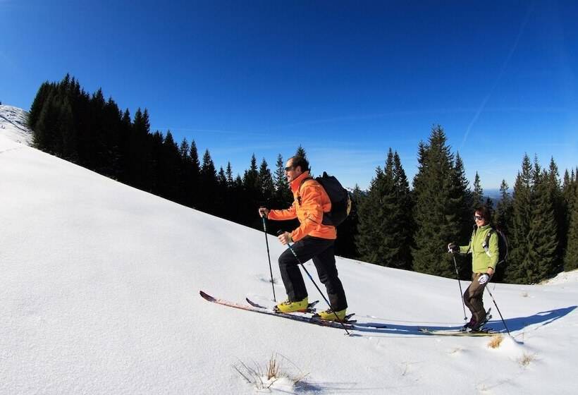 ベッドアンドブレックファースト Mammhofer Suite & Breakfast