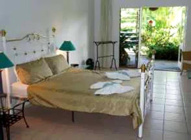 酒店 Daintree Wild Bed & Breakfast