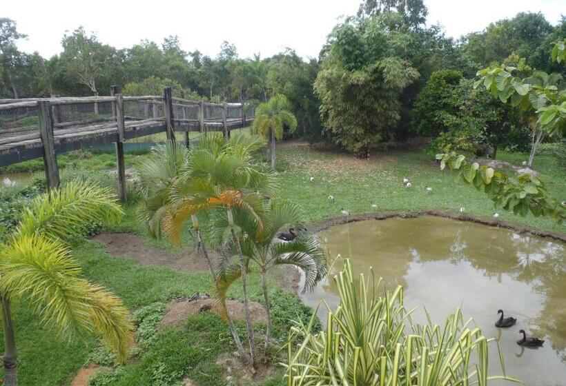 هتل Daintree Wild Bed & Breakfast