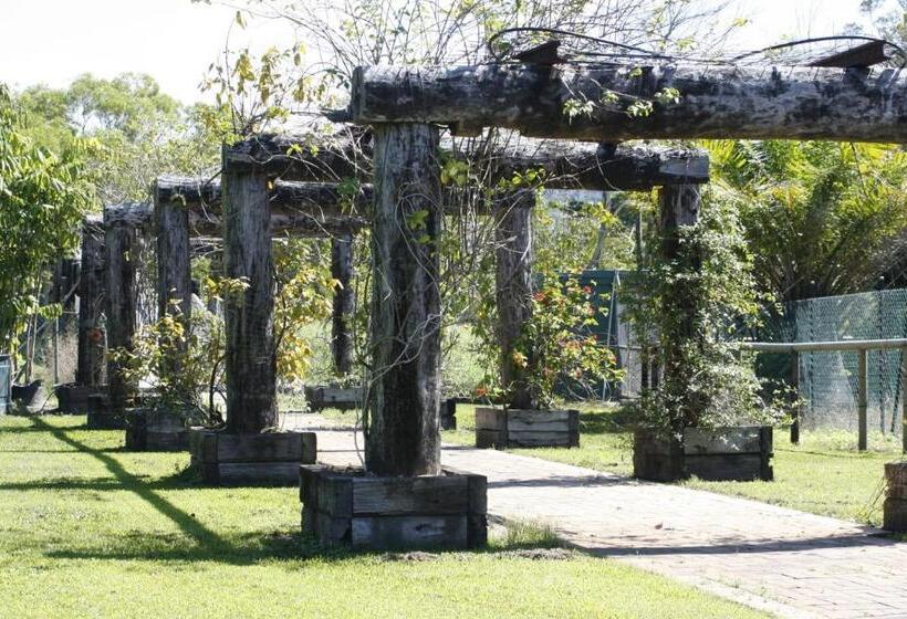 酒店 Daintree Wild Bed & Breakfast
