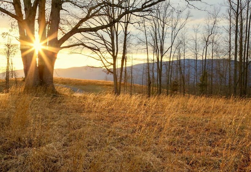 Quiet Charlottesville Hideaway In Baileys Retreat!