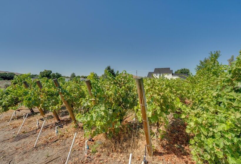West Richland Home W/ Vineyard & Mountain Views!