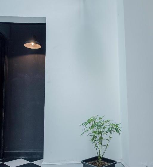 هاستل Ahivá Espacio Temporal