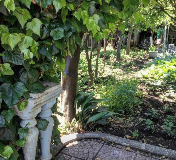 B&b Rectina Pompei
