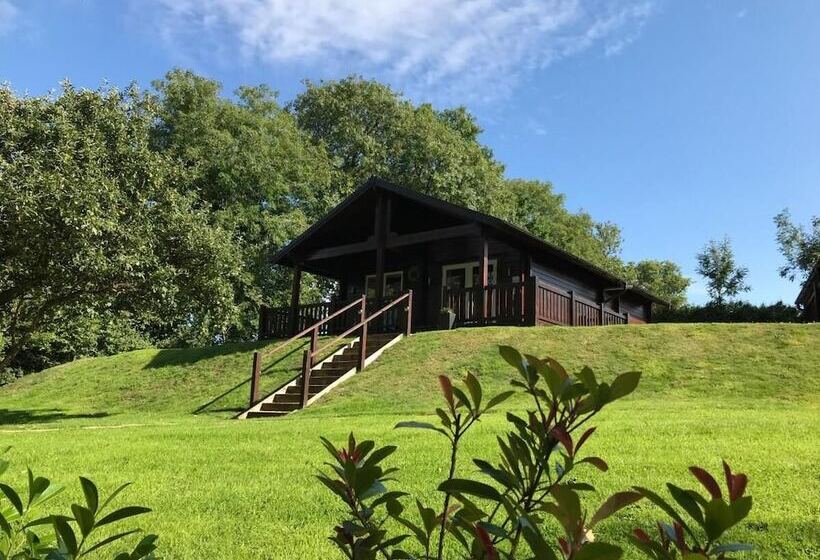 هتل Hollybush Lodges