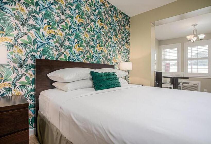 Мотель The Local   St. Augustine