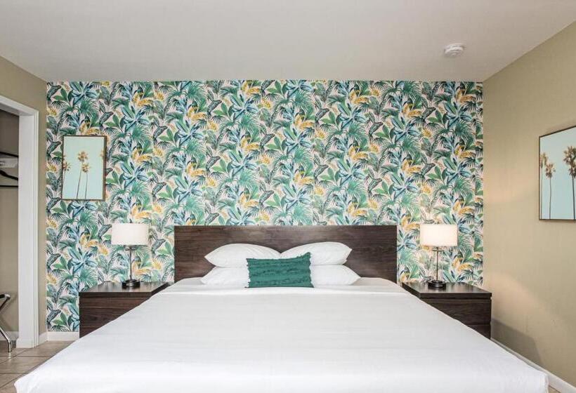 Мотель The Local   St. Augustine