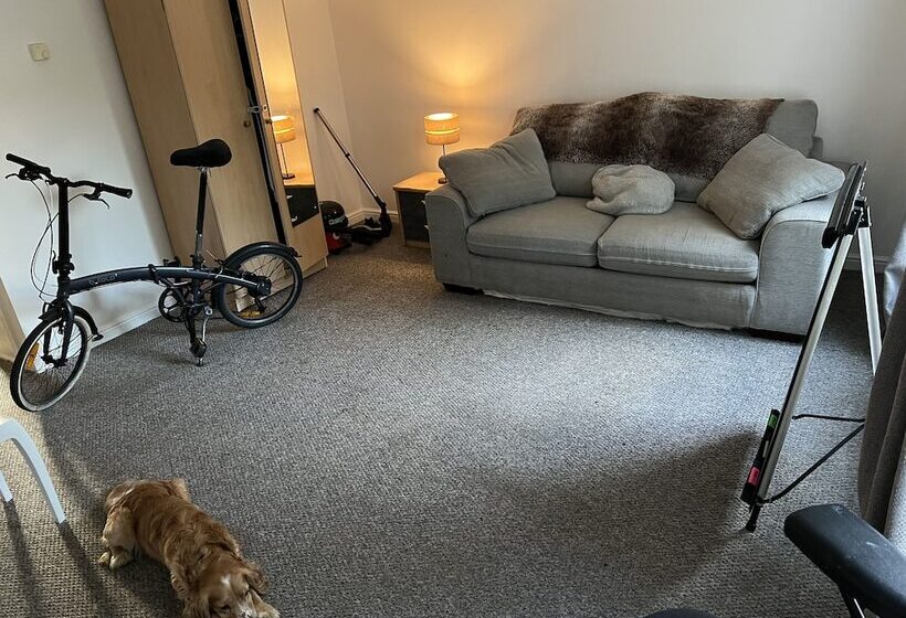 ベッドアンドブレックファースト 52 Chamberlayne Avenue