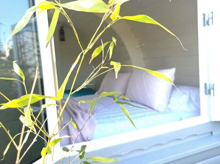 酒店 Charming Lodge In Morpeth