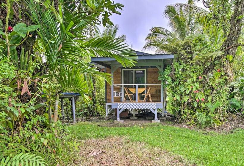 Idyllic Pahoa Paradise: Hike, Swim & Explore!