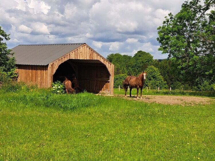 膳宿费 Gîte L Olivier à Filly   Nadrin, Entre Houffalize Et La Roche En Ardenne