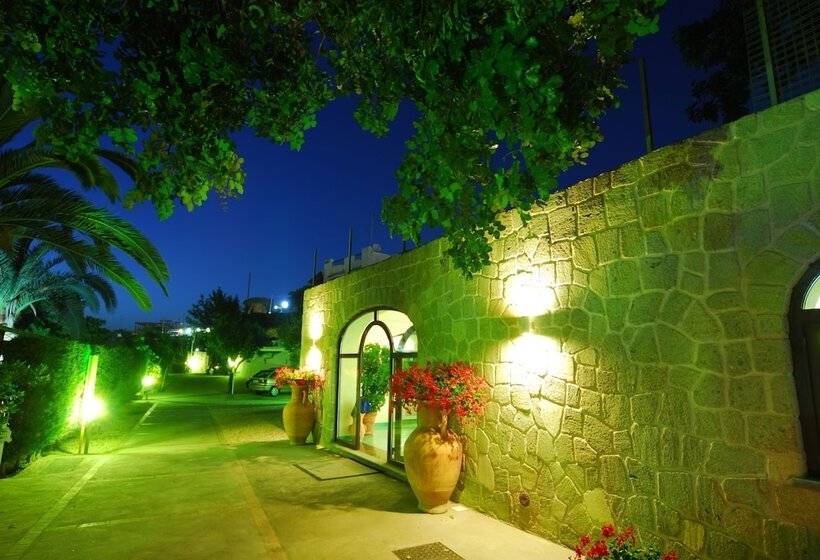 Room In B&b   Ischia Forio, Under The Sign Of Relaxation And Well Being N5480