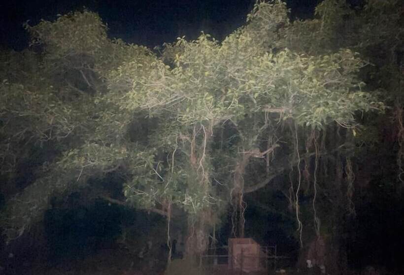 فندق Jungle Journey
