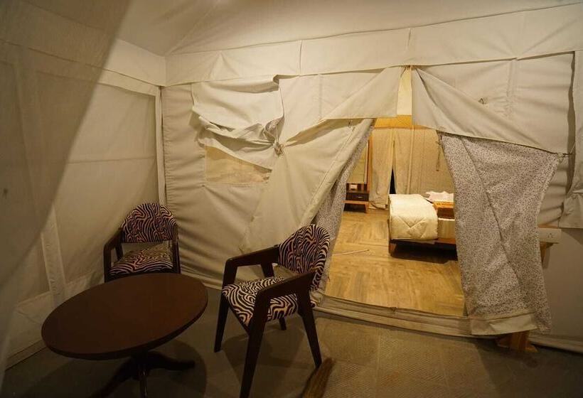 Отель Palace Beach Camp