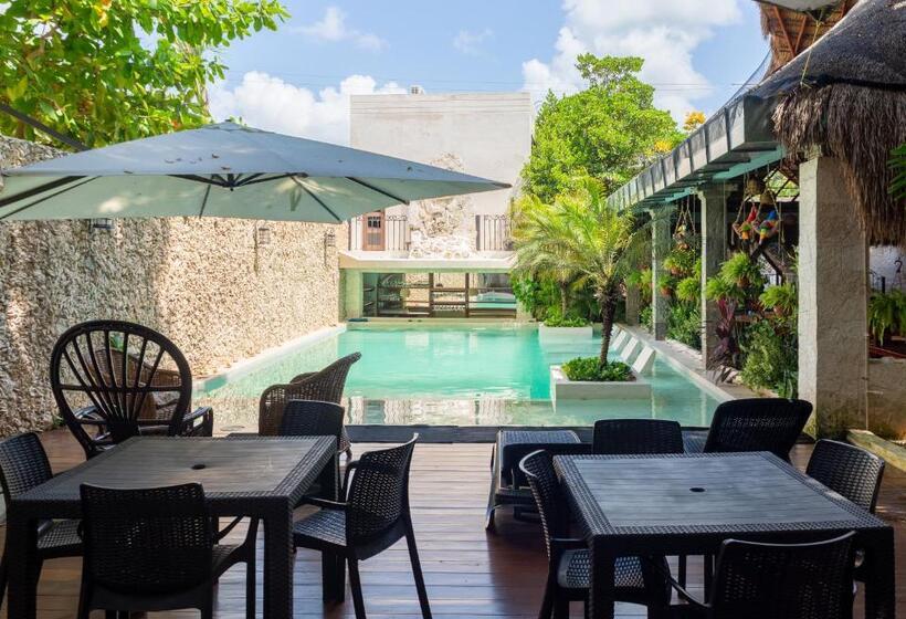 فندق Y Hostal Nojoch Che