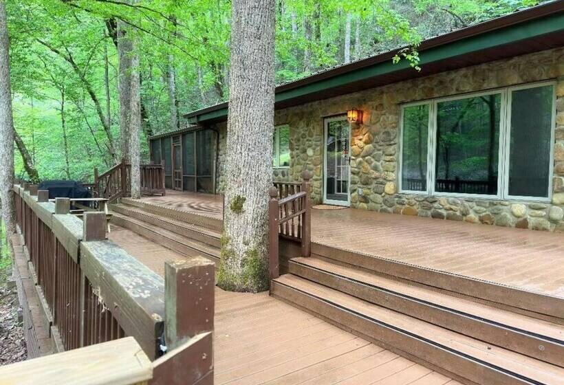 Mountain View Bliss   Cozy 1br Cabin