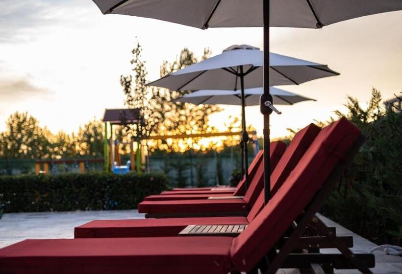 Aphrodite Park Deluxe
