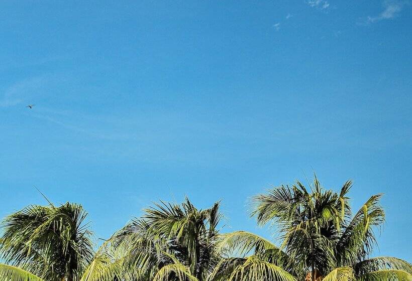 هتل Málaga Managua