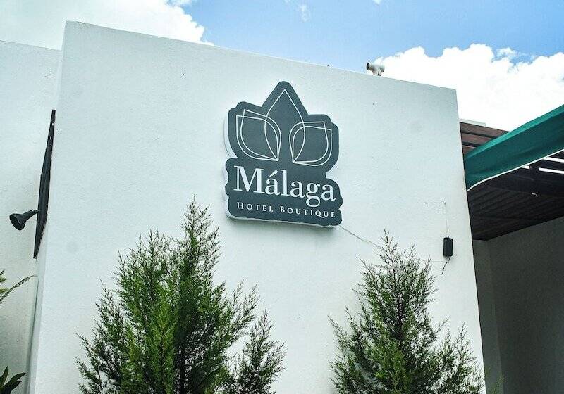 هتل Málaga Managua