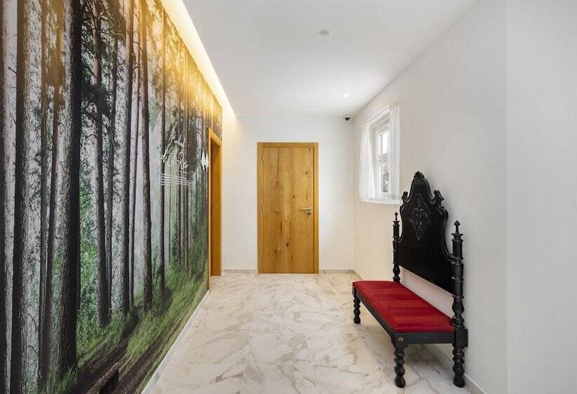 فندق صغير Forest Villas   Guest House