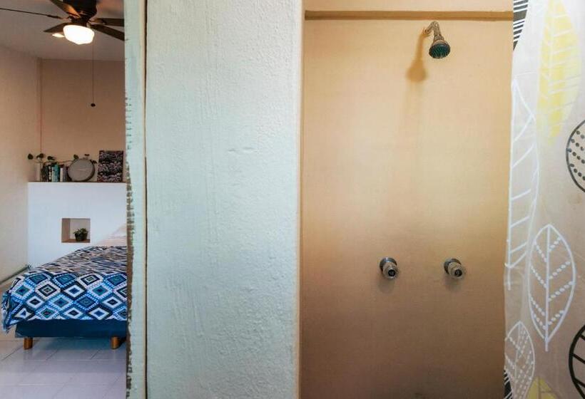 هاستل Hostal Cuca Macuca