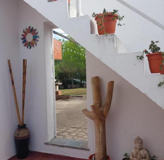 تختخواب و صبحانه Maily Guest House