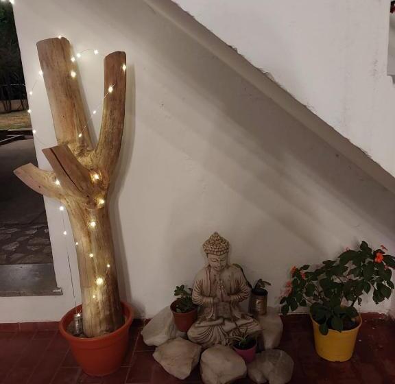 تختخواب و صبحانه Maily Guest House