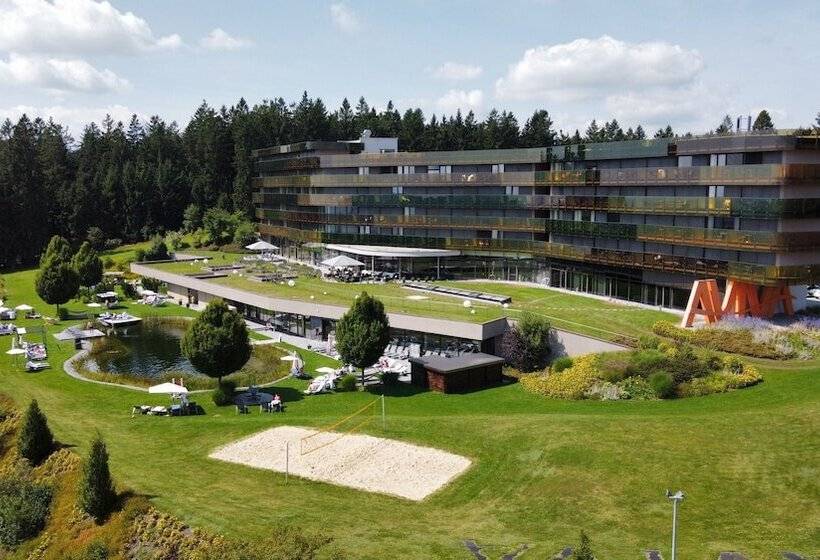 ホテル Aviva   Für Singles & Alleinreisende