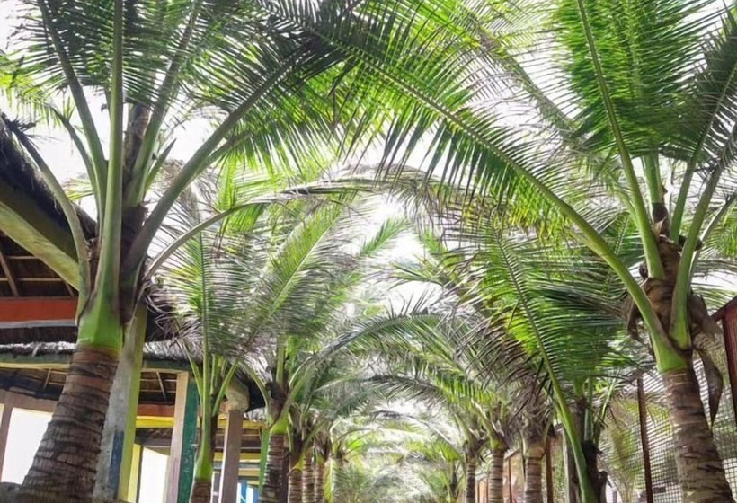 هتل The Paradise Beach Resort And Apartment