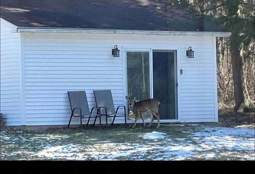 פנסיון Cozy Country Get Away Studio At Firefly Acres