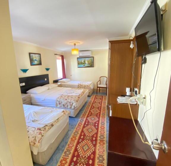 Sevin Hotel Pension