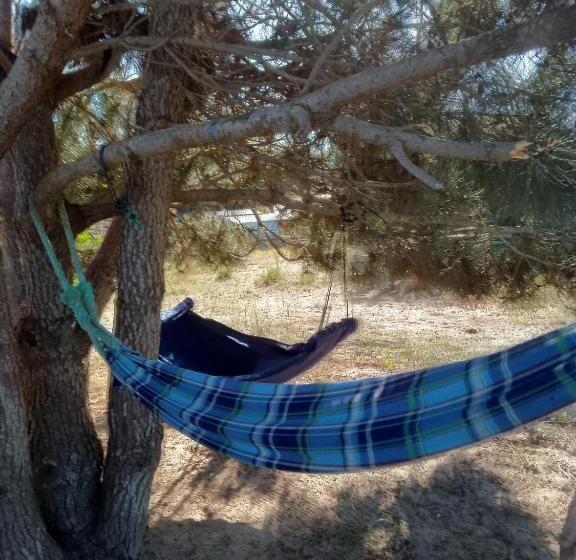 هاستل Vida Playera