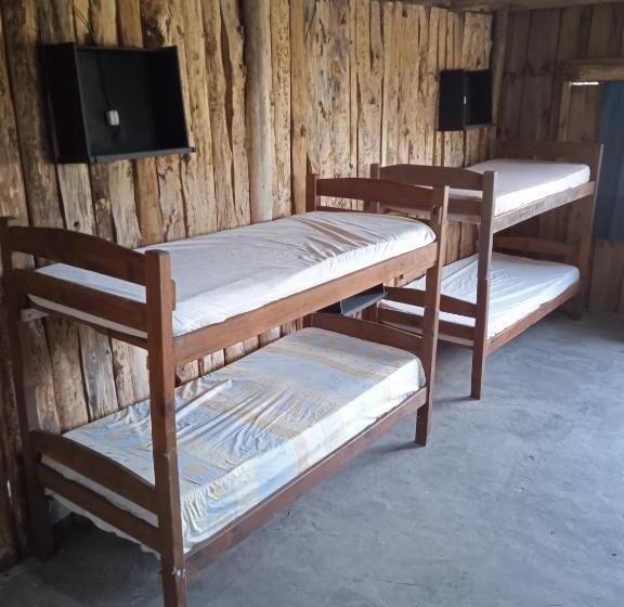 هاستل Vida Playera