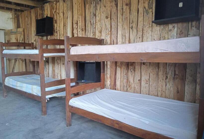 هاستل Vida Playera