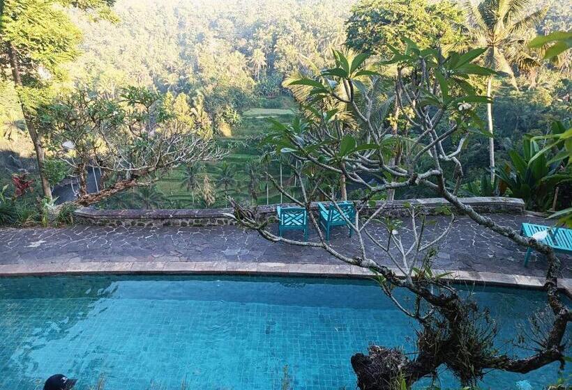 تختخواب و صبحانه Bali Maison