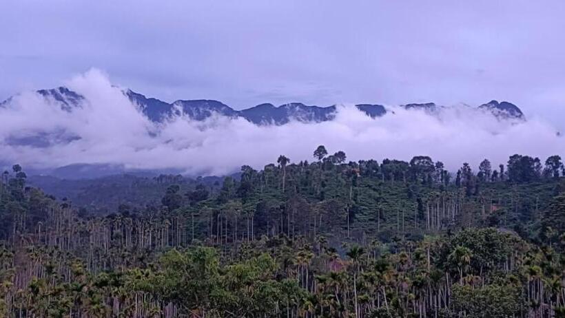 Пансион Sky Villa Wayanad