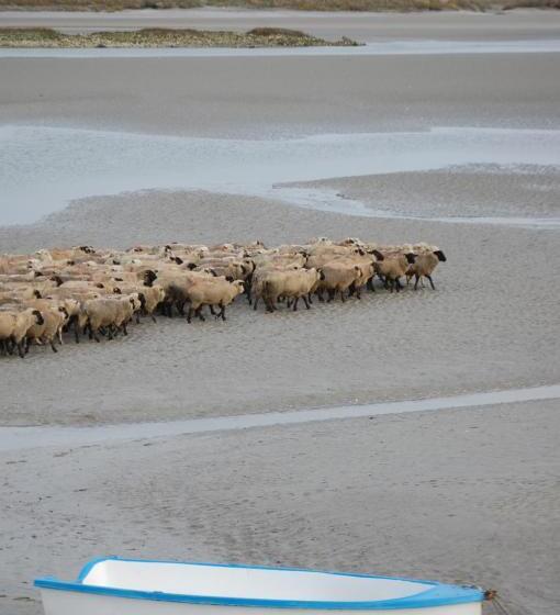 Bed and Breakfast Le Relais De La Baie   Chambres D Hôtes