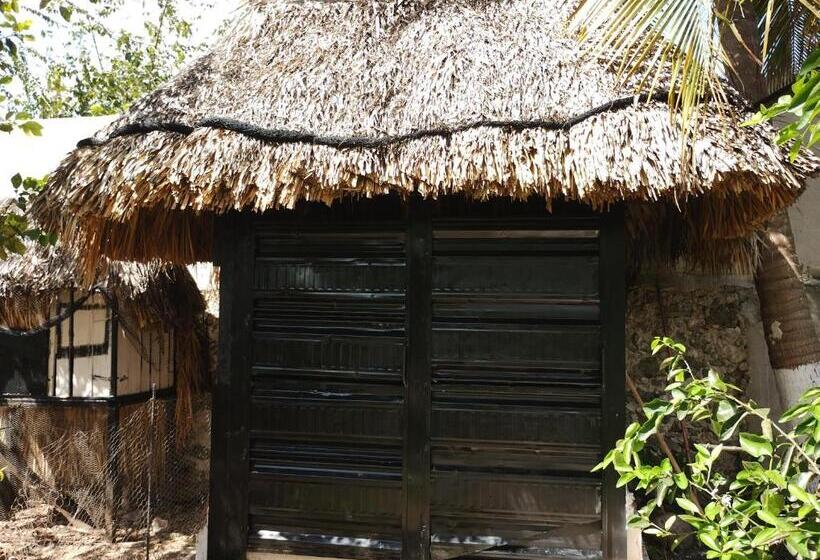 בית מלון כפרי Y Museo Aldea Maya Toktli Orígenes   Casa Maya Toh   Alberca, Wifi Starlink, Tour Museo