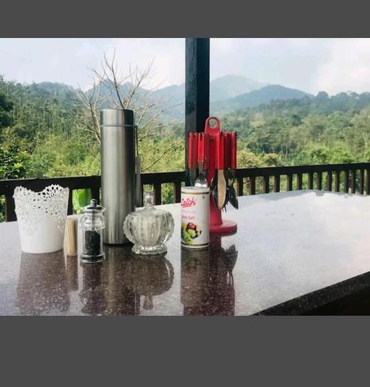 פנסיון Jungle View Home Stay