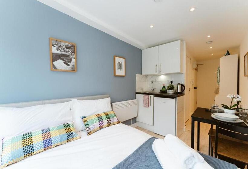 פנסיון The Finsbury Park Star Apartments