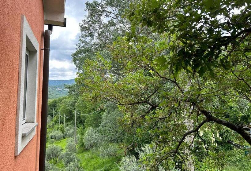 تختخواب و صبحانه Ai 2 Olmi   Monolocali Nel Verde