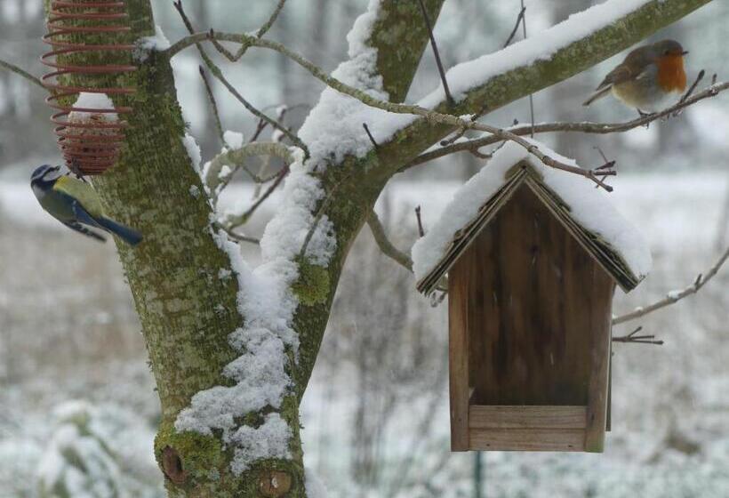 צימר Reves De Baie Accueillant, Paisible, Vue Panoramique Exceptionnelle