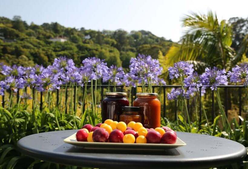 Fotos del hotel Casa Do Valle:  70