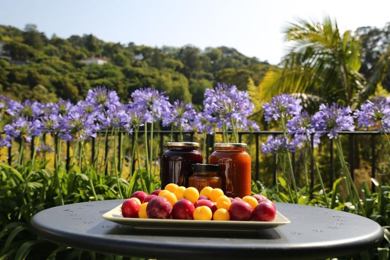 Fotos del hotel Casa Do Valle:  31