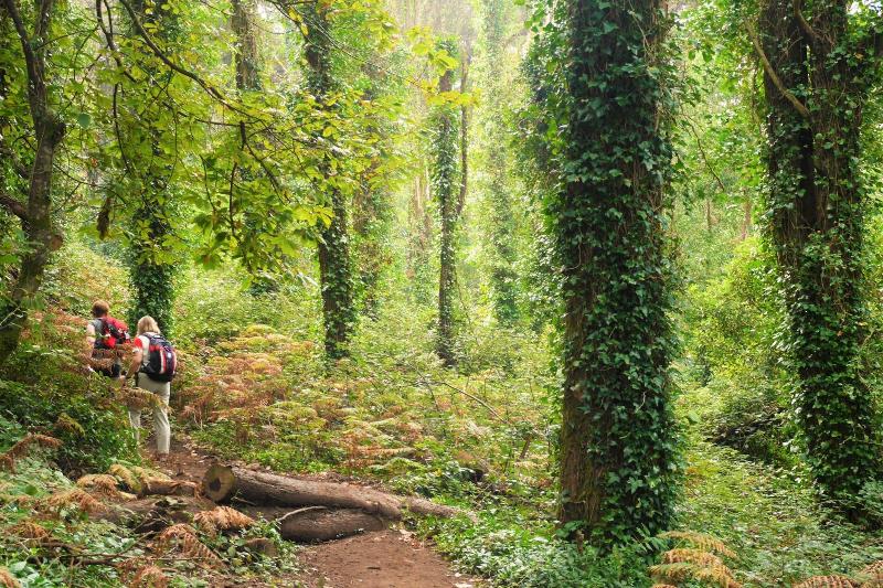 Fotos del hotel Casa Do Valle:  38